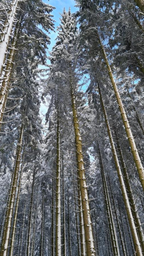 Vakantiehuisje Winterberg Eksteriør billede