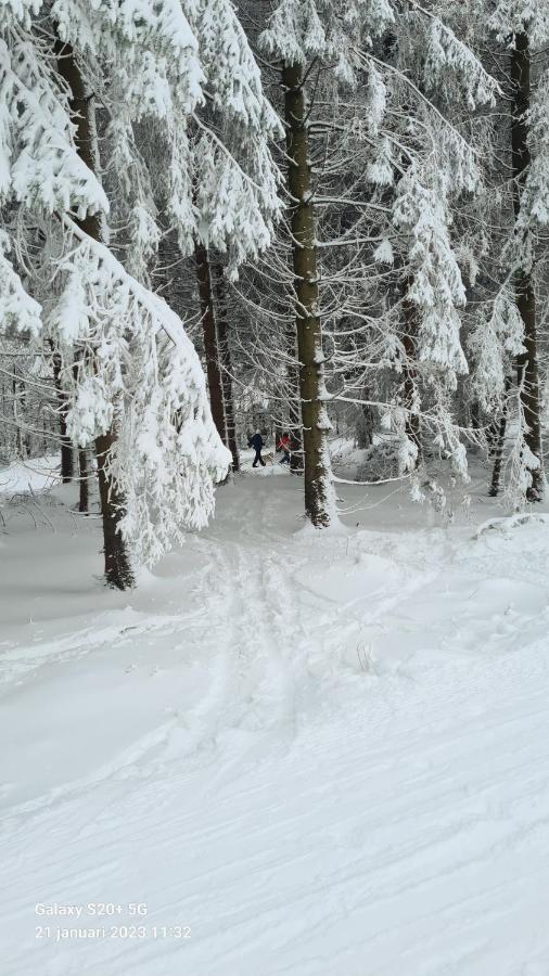 Vakantiehuisje Winterberg Eksteriør billede