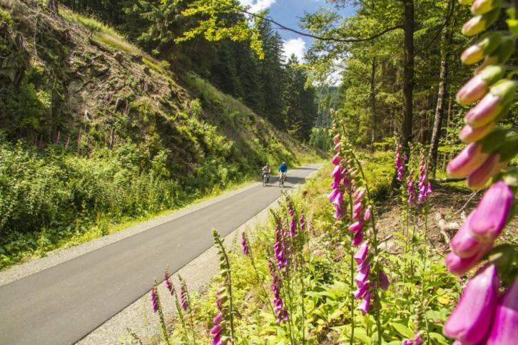 Vakantiehuisje Winterberg Eksteriør billede